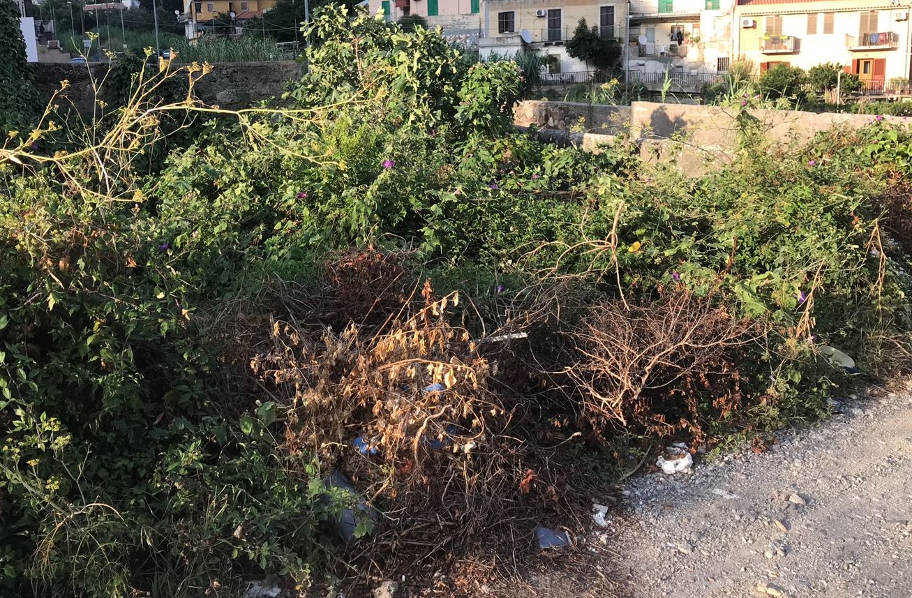La V abbandonata a sé, il presidente Cutè: "Ad oggi siamo stati inascoltati"