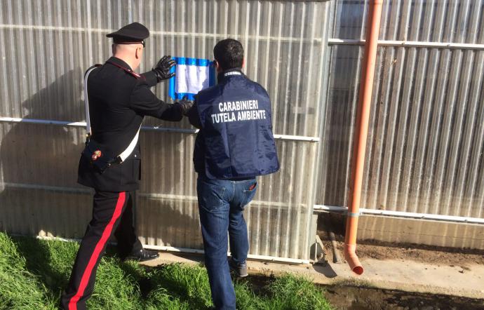 Liquami scaricati nel torrente Gualtieri, sequestrata azienda zootecnica