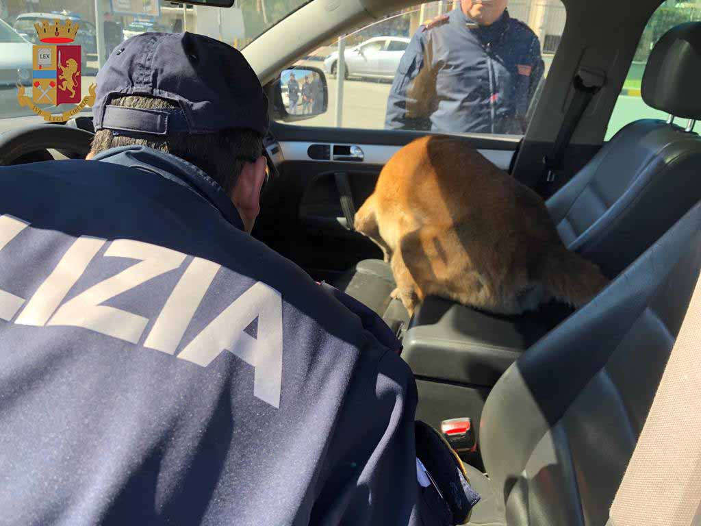 Giovane deteneva 20 chili di marijuana: arrestato