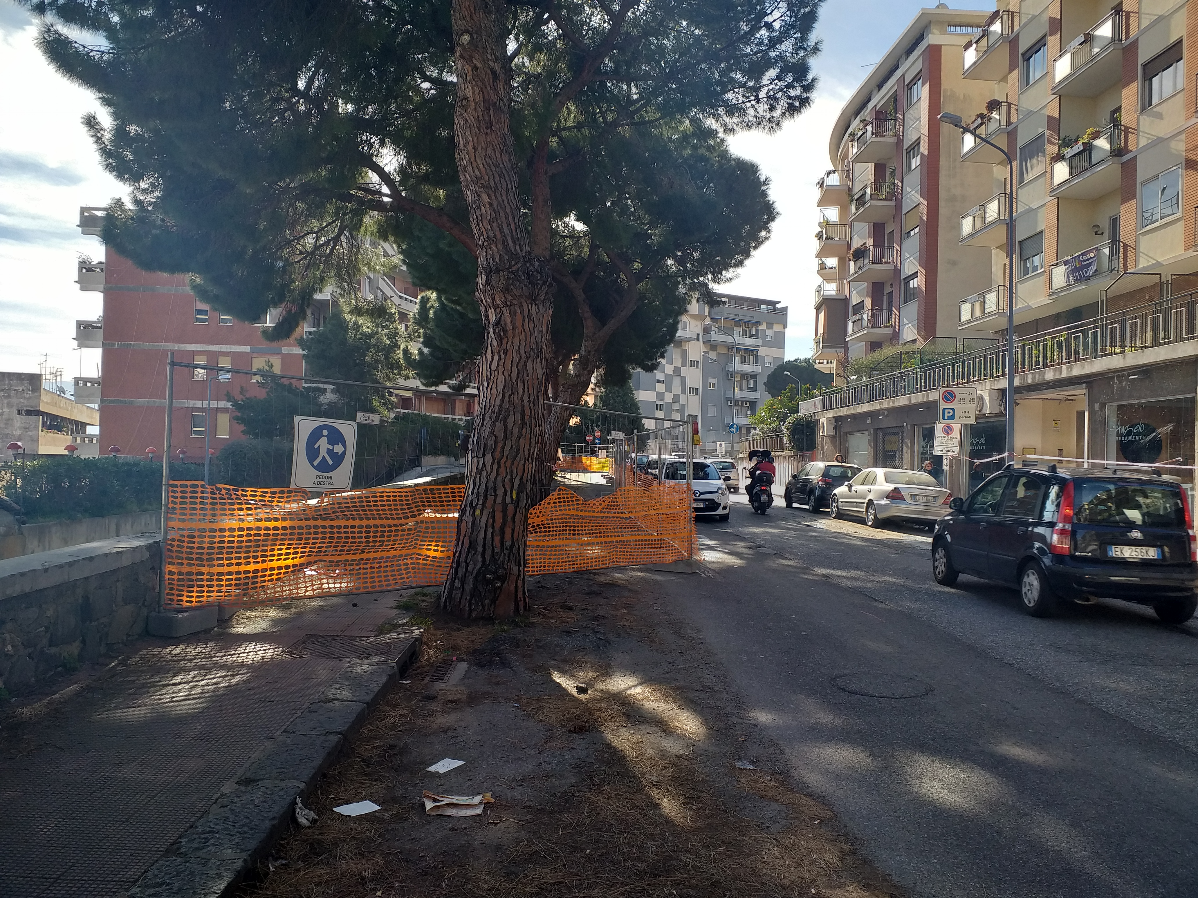 Viale Regina Elena, finalmente verranno effettuati interventi di bitumazione