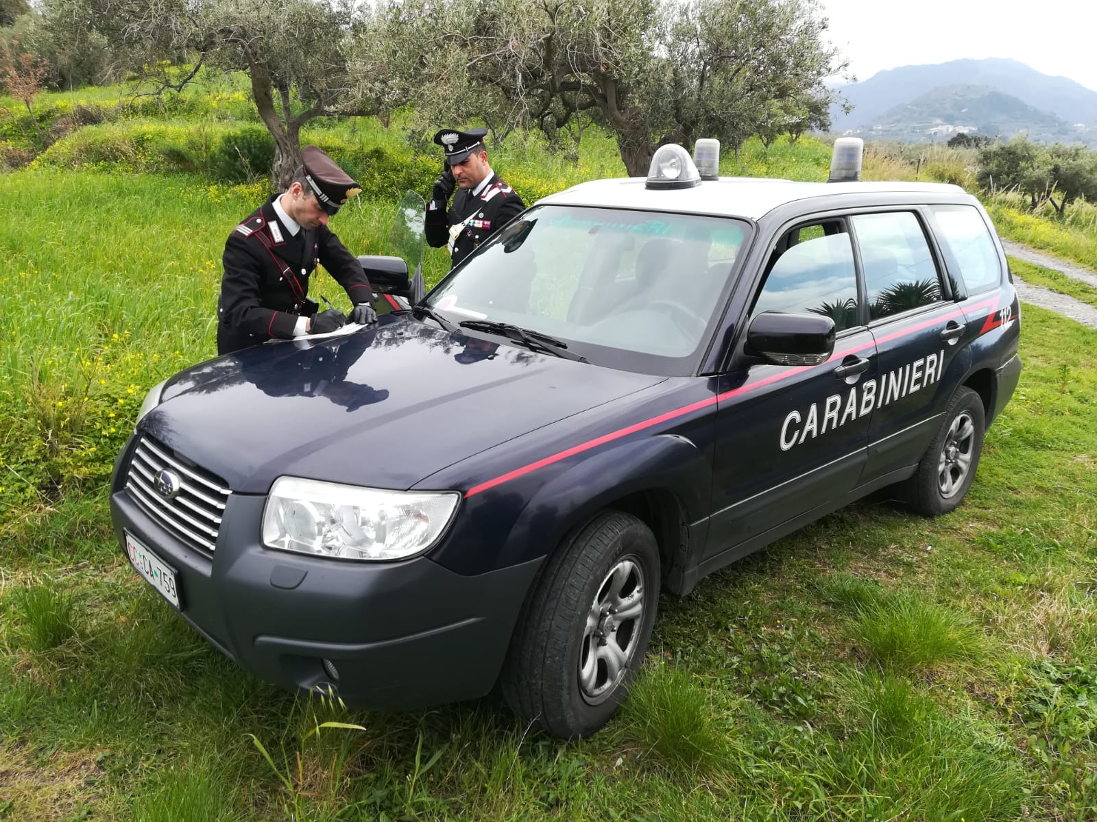 Tentano di rubare agrumi: due barcellonesi finiscono in manette