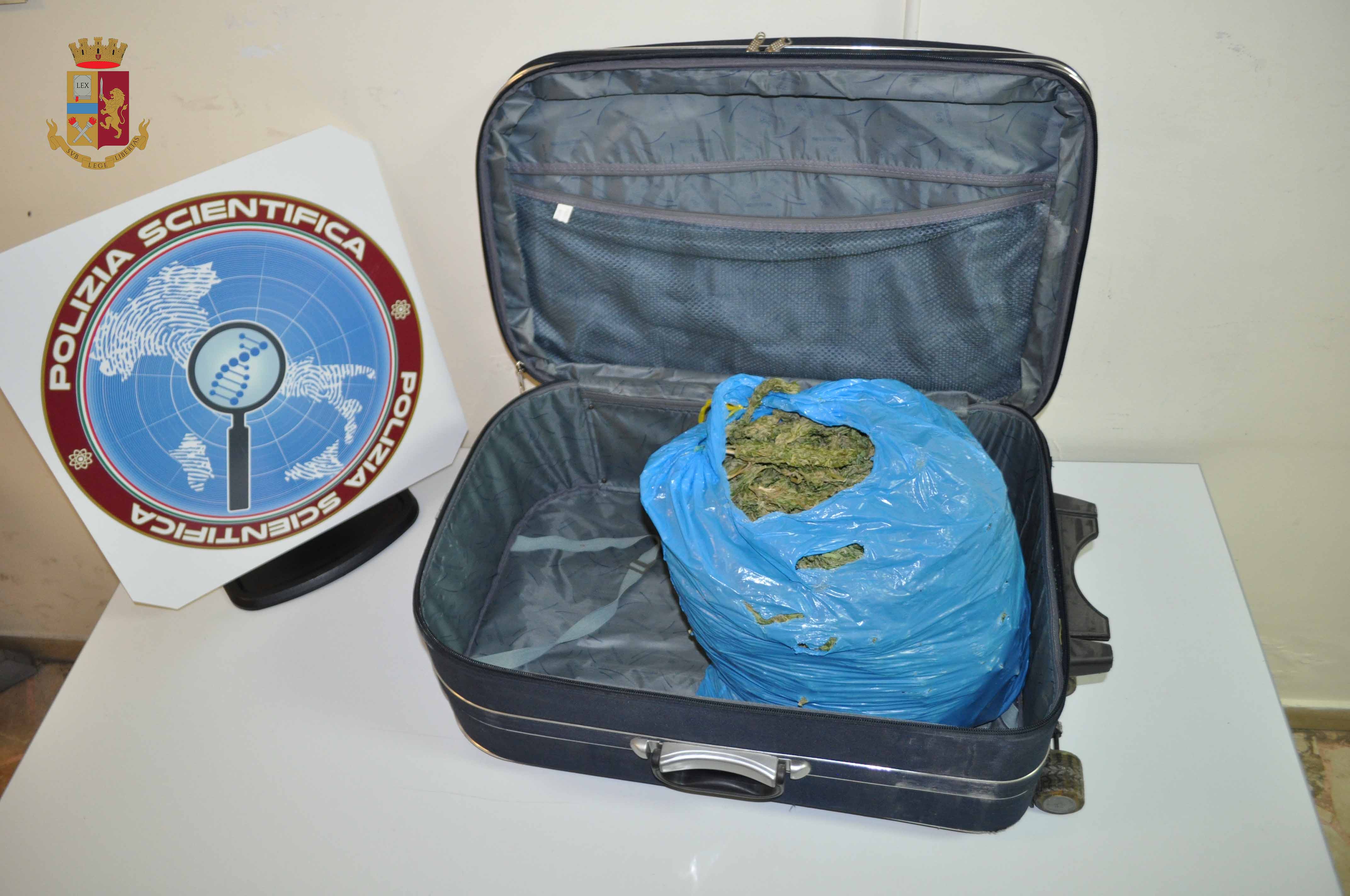 Sequestrata marijuana agli imbarcaderi: pusher finisce in manette
