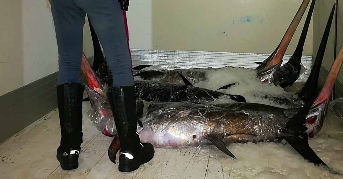 Sequestrati 950 chili di pesce in cattivo stato di conservazione