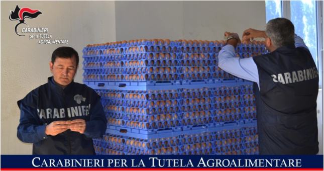 I carabinieri sequestrano oltre 5mila uova