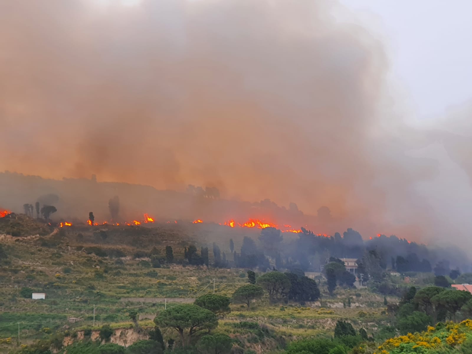Incendi, Protezione civile: “ Mano dolosa dietro”