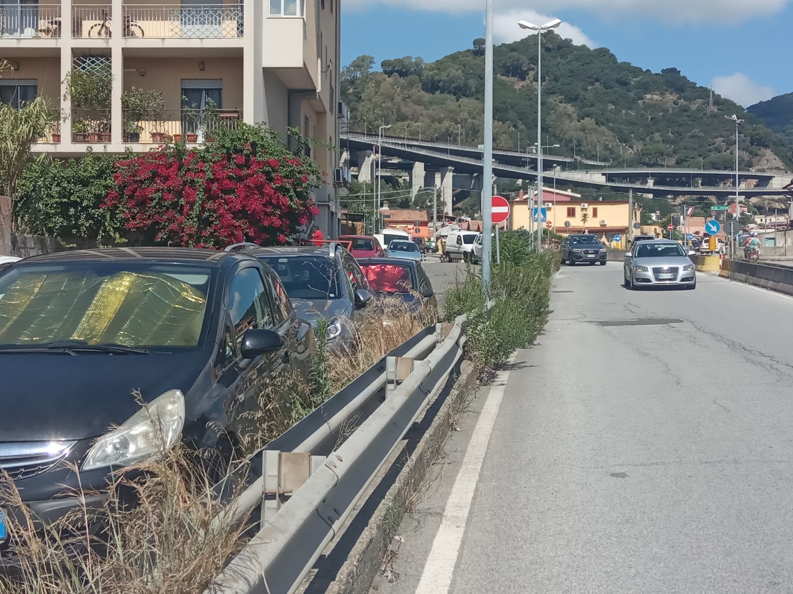 Bucalo: "Benvenuti nella giungla di Giostra"