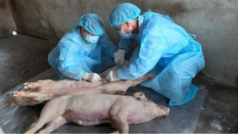 Uil-Fpl, Sumai e Cisl Medici: “Bene incremento monte ore veterinari”