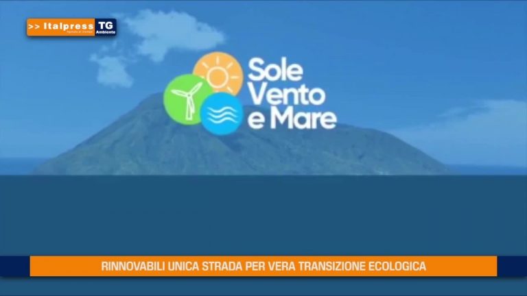 Rinnovabili unica vera strada per la transizione ecologica