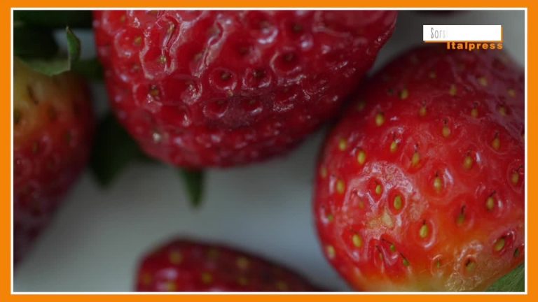 Sorsi di Benessere – Depurarsi con acqua, fragole, basilico e succo d’aloe