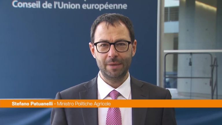 Accordo Ue sulla Politica Agricola Comune, Patuanelli: “Riforma storica”