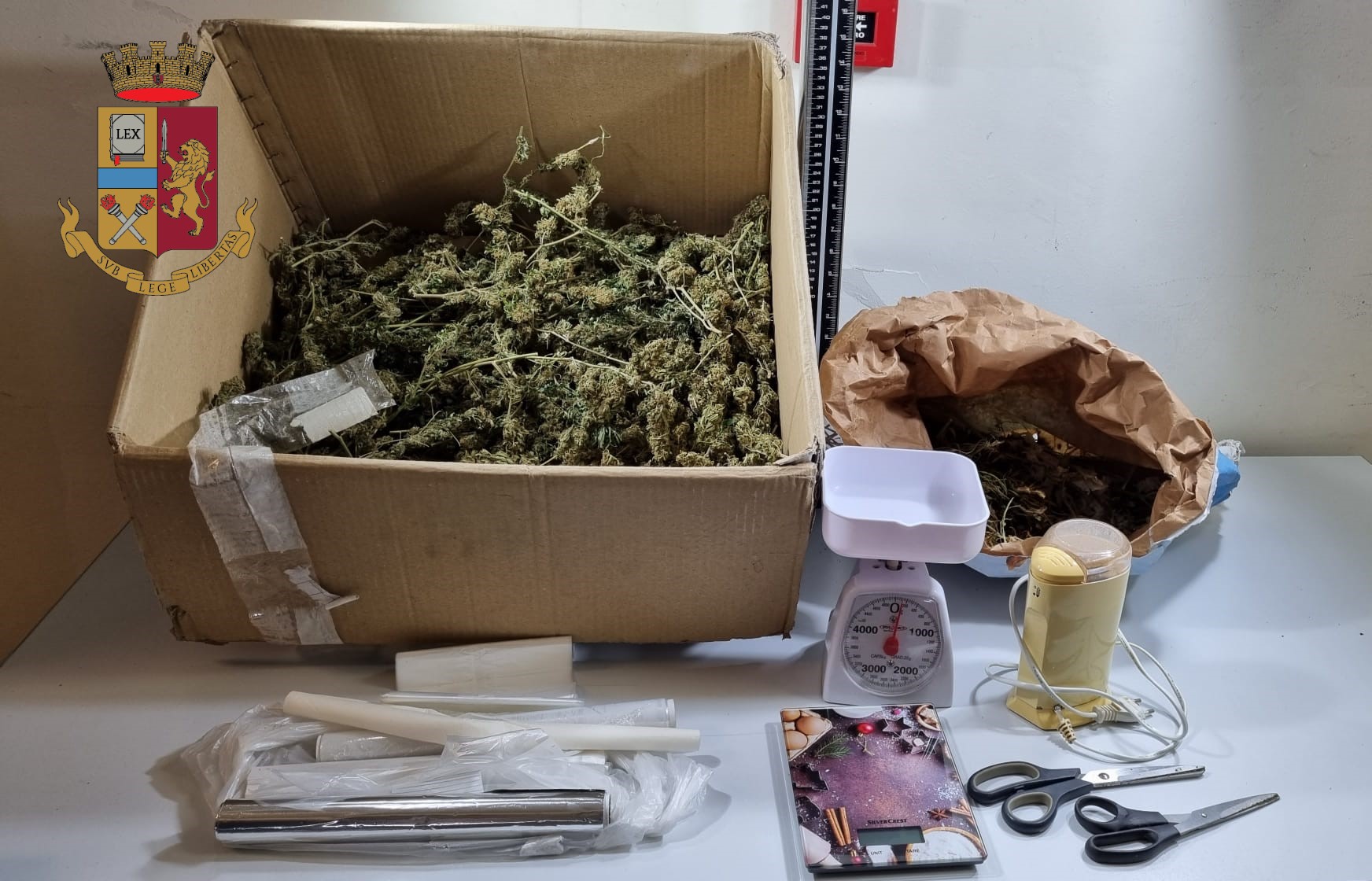 Produceva “erba” in casa, arrestato grazie all’App della Polizia