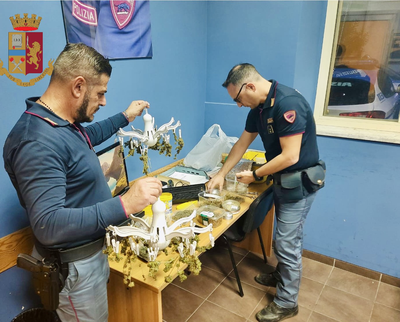Teneva laboratorio artigianale di marijuana, arrestato