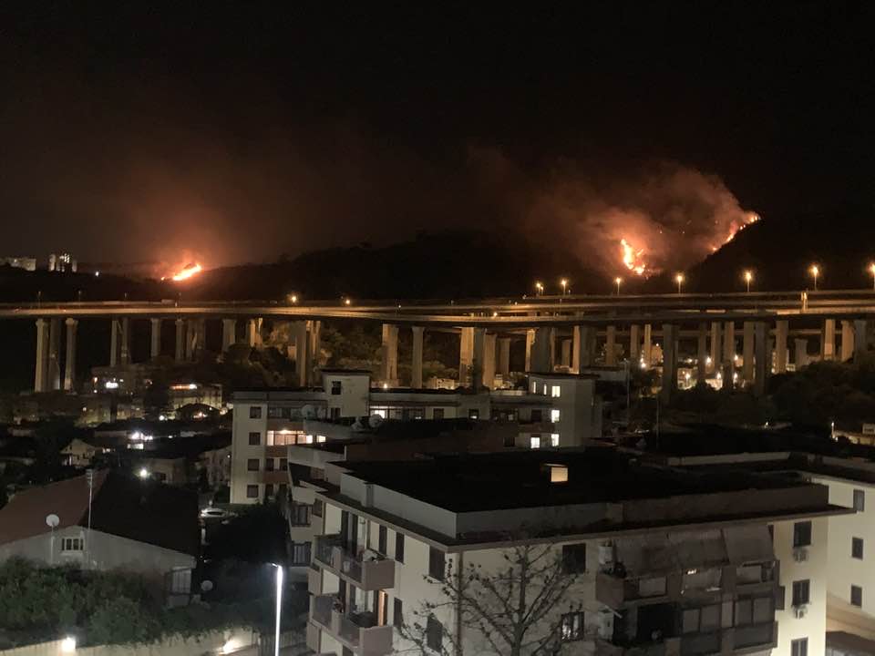 Incendi estivi: stanziati 6 milioni di euro