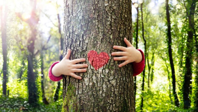 Giornata dell’albero, bambini delle scuole piantano alberi
