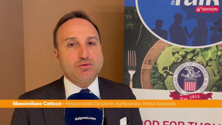 Cattozzi “Imprese ci chiedono come accompagnarle in mercati esteri”