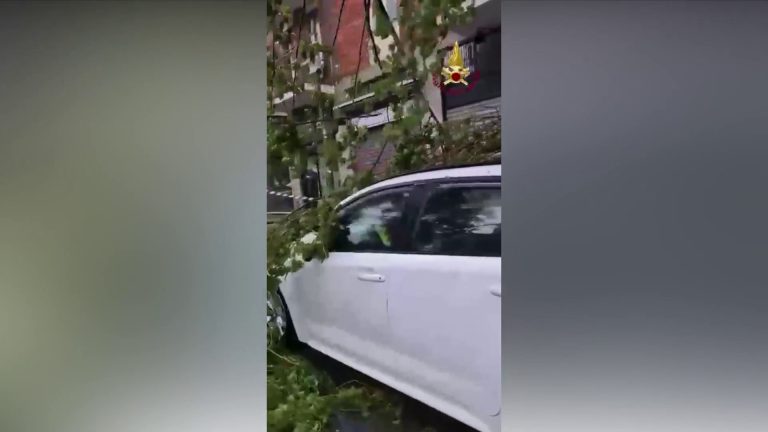 Maltempo in Lombardia, a Milano alberi caduti e allagamenti