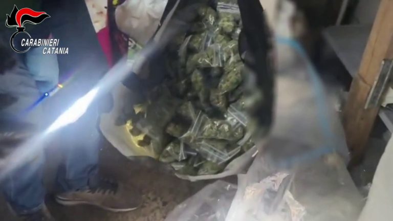 Scoperto un deposito di droga in un garage a Catania, un arresto