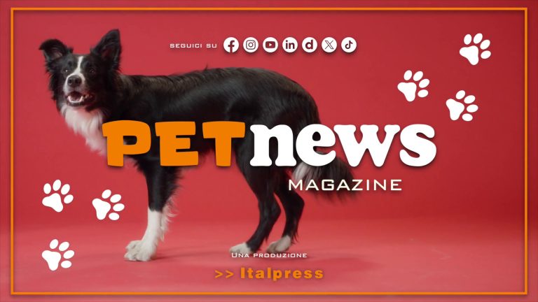 PetNews Magazine – 6/5/2025