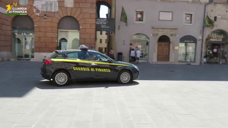 Foligno, scoperto allevamento di cani sconosciuto al fisco