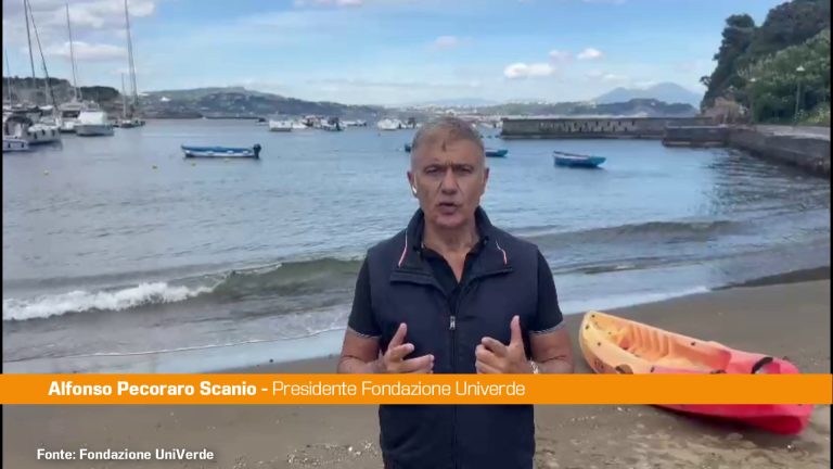 Pecoraro Scanio a difesa del mare “Tutela per un Mediterraneo pulito”