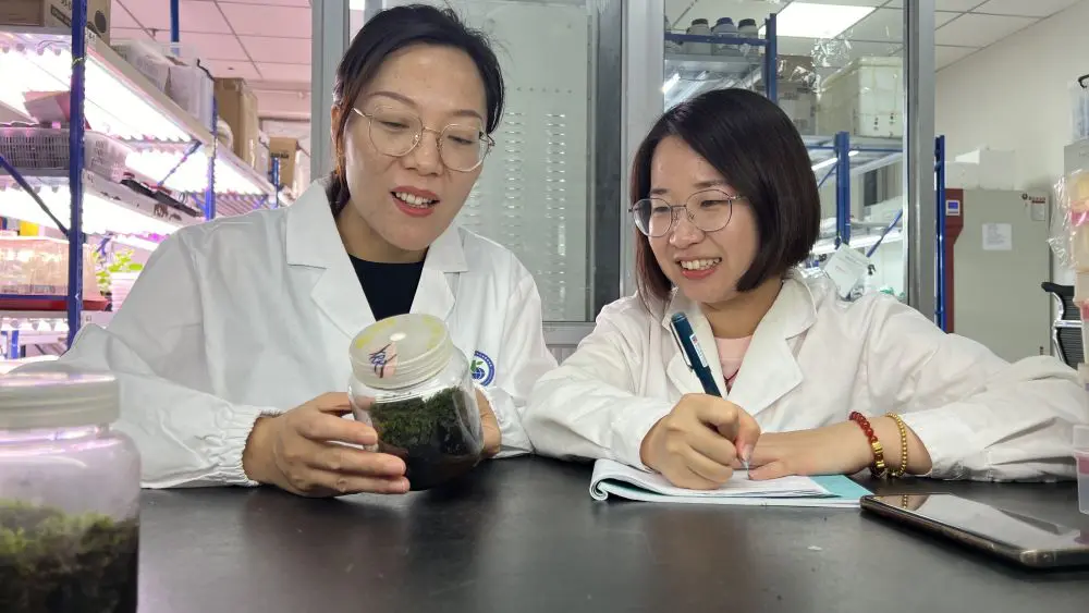 Cina, scoperta la pianta desertica “più resistente” anche nello spazio