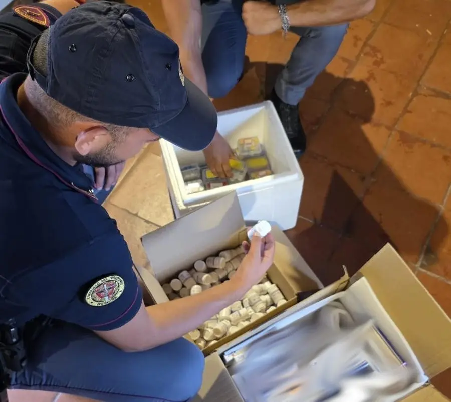 Maxi sequestro di farmaci dopanti a Caltagirone, un uomo ai domiciliari